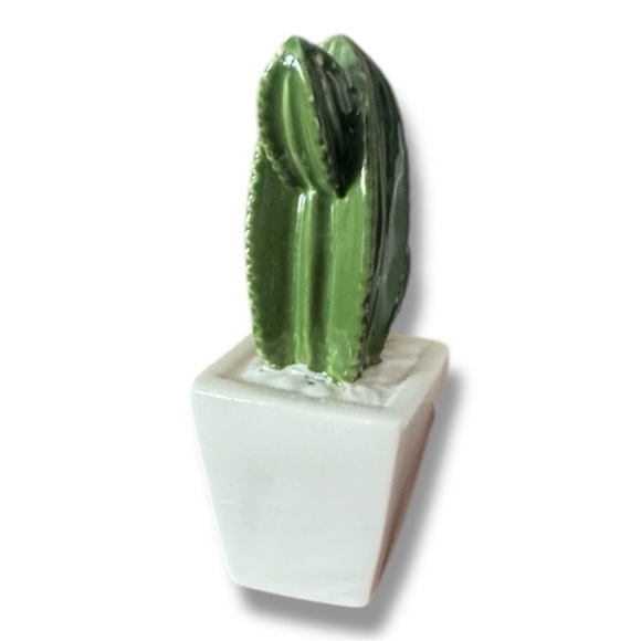 Cactus decor​ - Picture 2 of 3